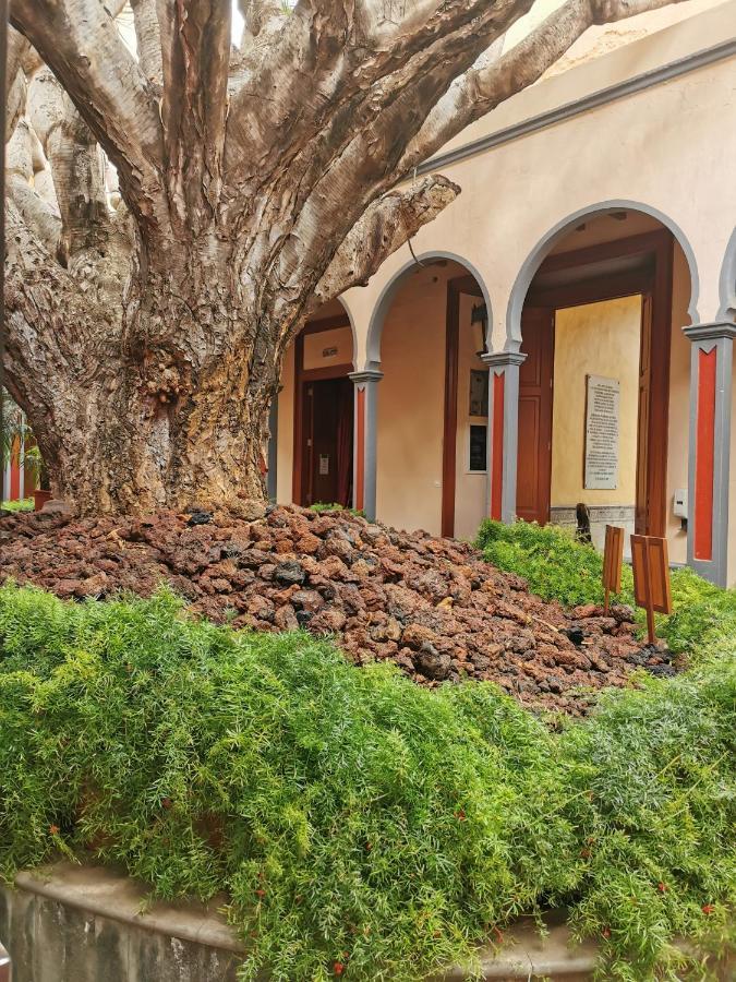 Habitacion Con Bano Privado Gáldar Екстериор снимка